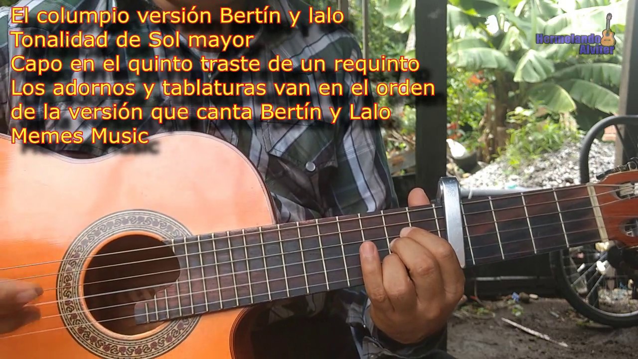 Requinto tutorial El columpio, versión Bertín y Lalo //Cómo requintear el columpio