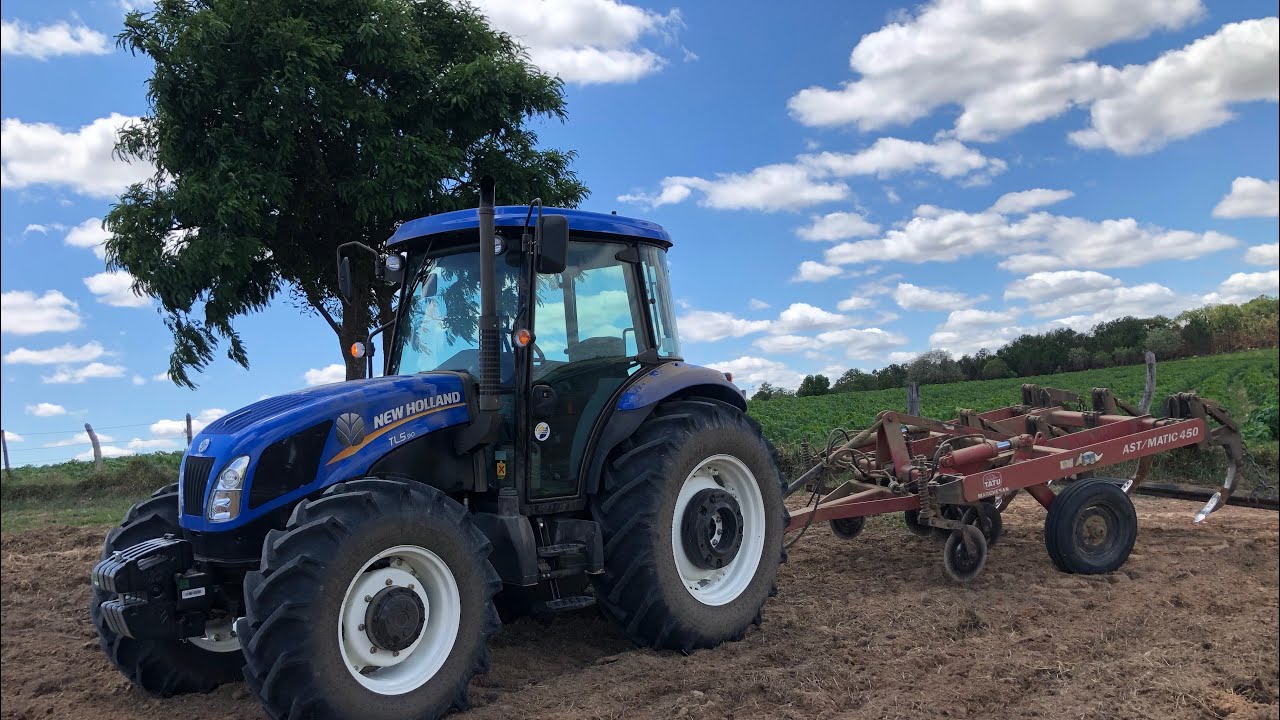 TRATOR NEW HOLLAND TL5.90 NO SUBSOLADOR DE 5 HASTES DE ARRASTO!!!
