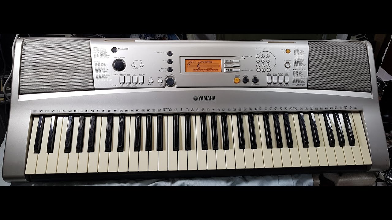 YAMAHA PSR-e313 (DEMO songs) part 2/3