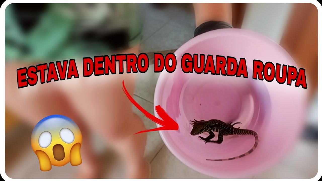 RECEBI VISITA NO MEIO DA FAXINA! TINHA UM BICHO NO GUARDA ROUPA😱😨