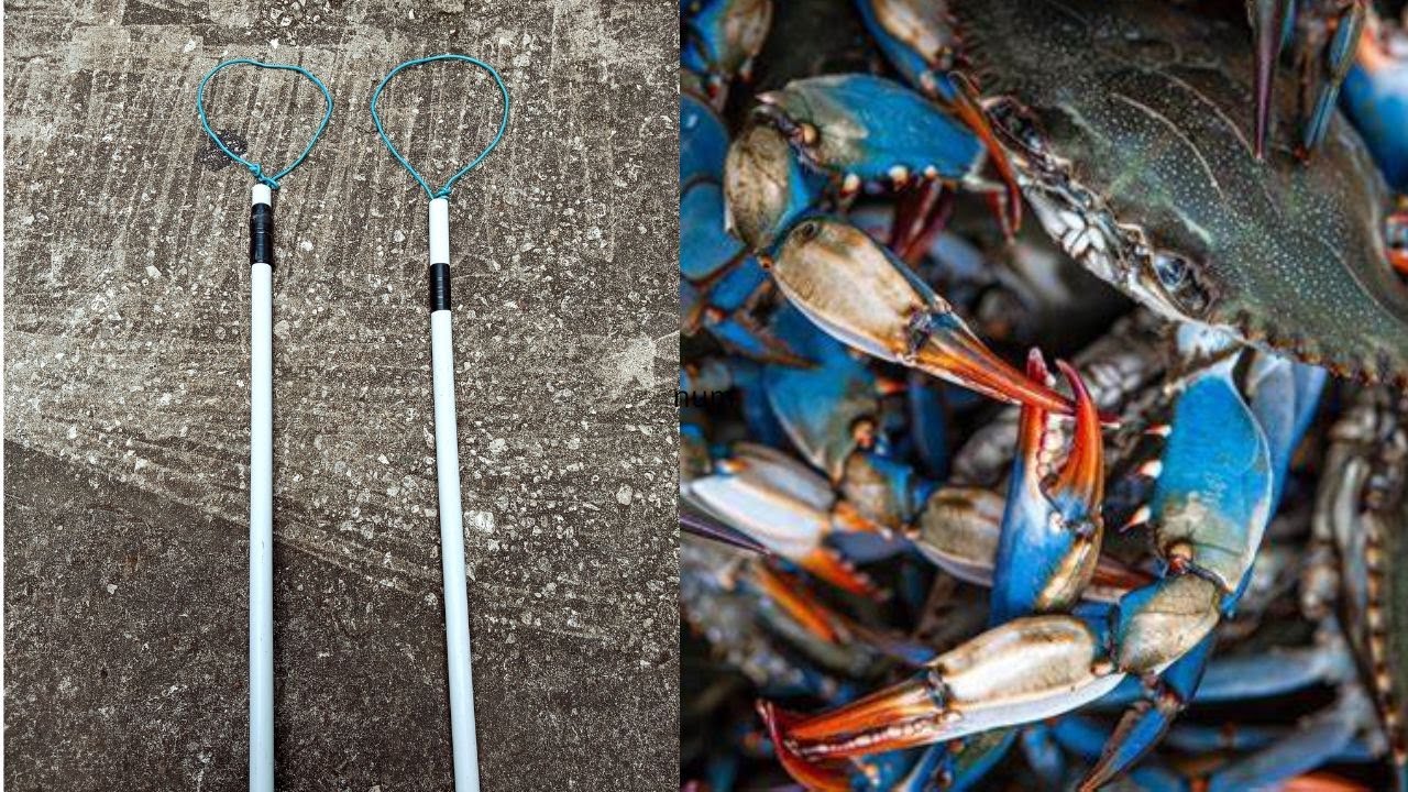 Build a basic Crab Snare for catching Blue Crabs