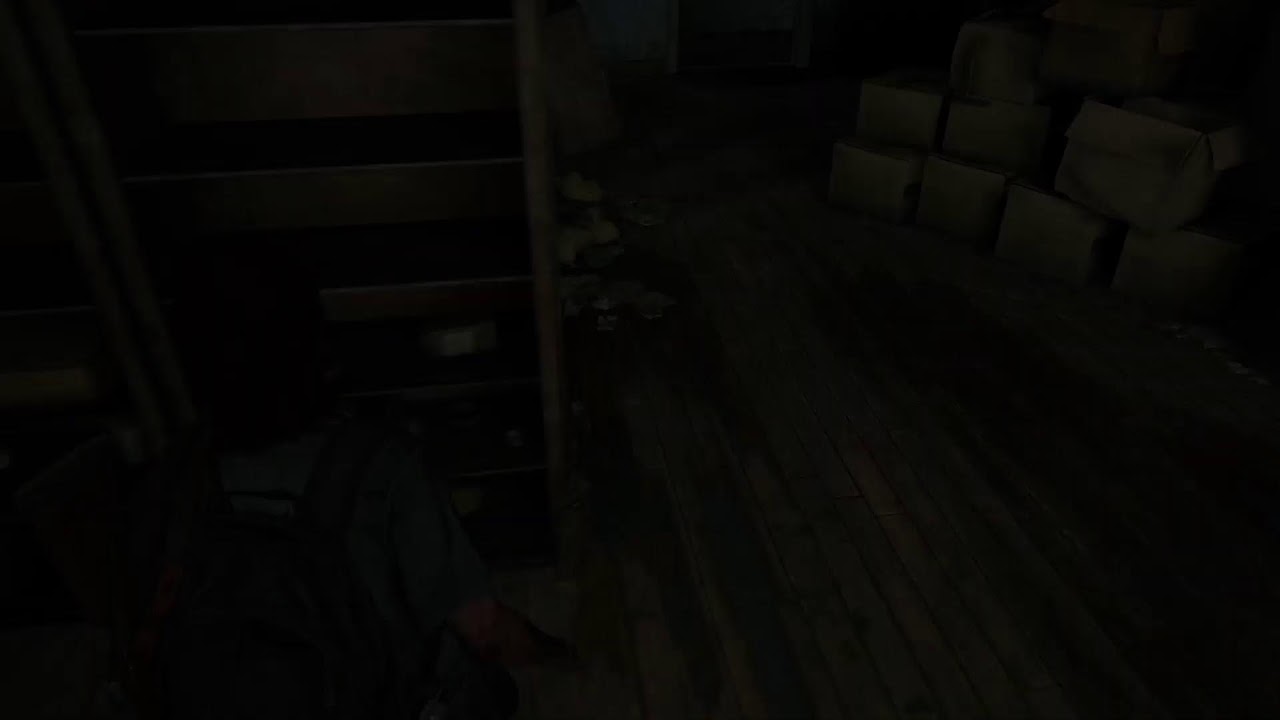 The Last of Us 2