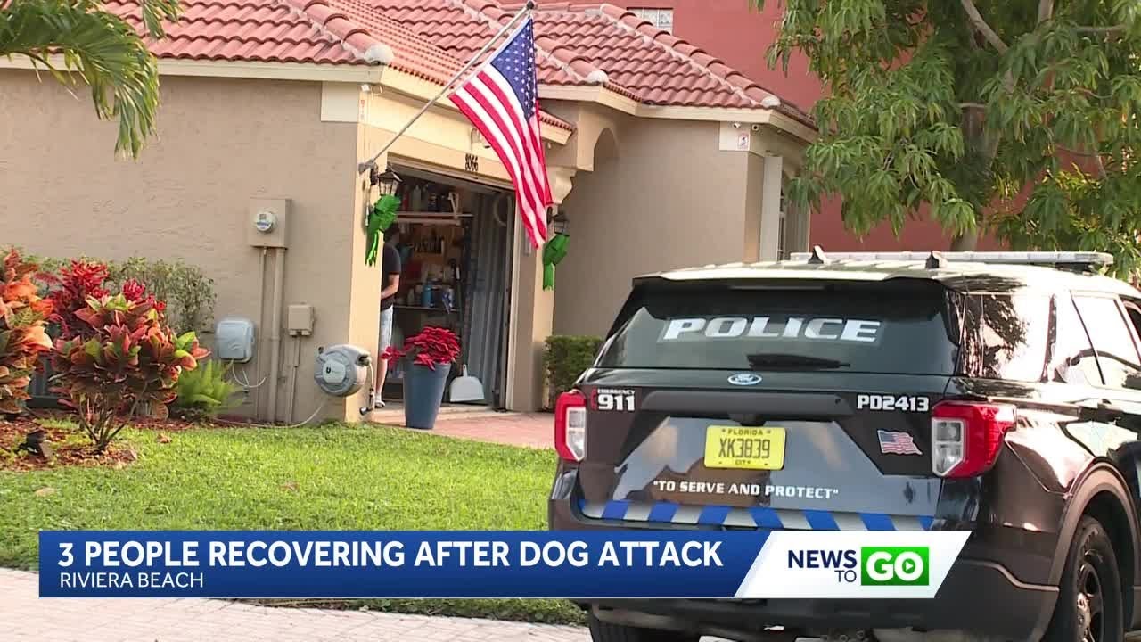 News To Go: December 24, 2025