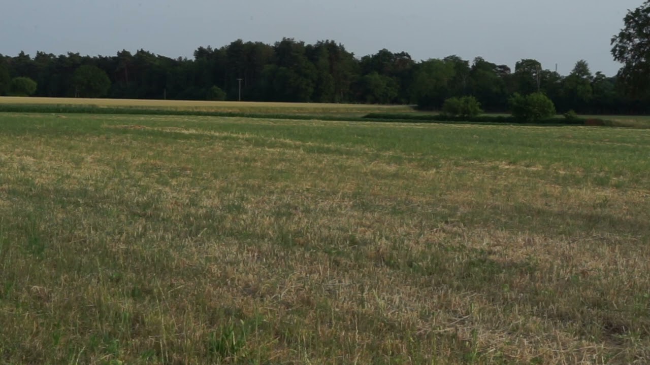 Zeelink Sternweg Ost Grube