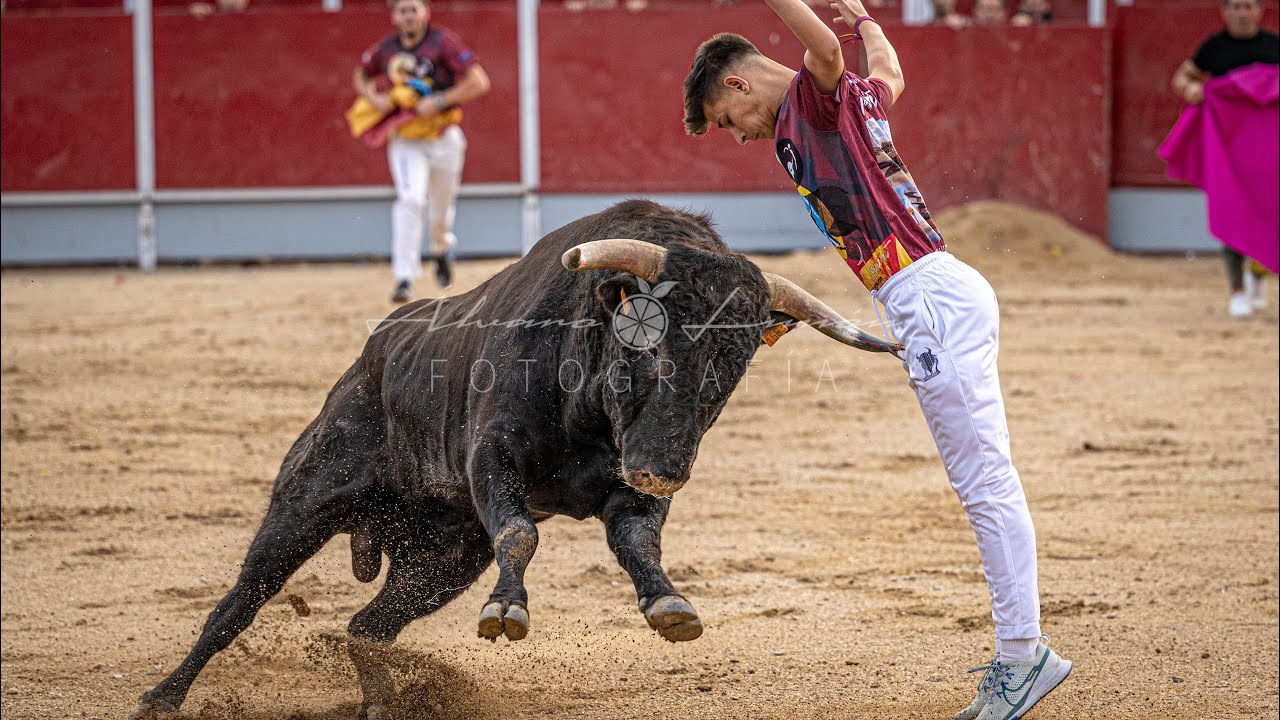 CONCURSO DE RECORTES VELILLA DE SAN ANTONIO  2024 (MADRID)