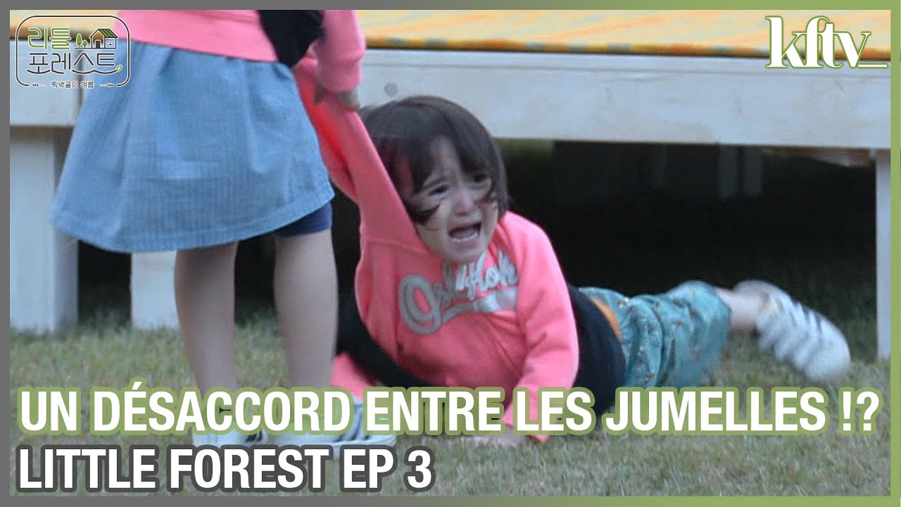 Une grosse dispute entre les jumelles ! [FR SUB] [ENG SUB] [LITTLE FOREST EP 3]