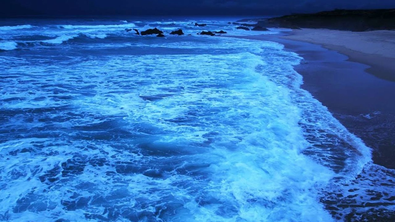 Your Mind Won’t Stop? 🌙 Night Ocean Waves to Calm You Down (LIVE)