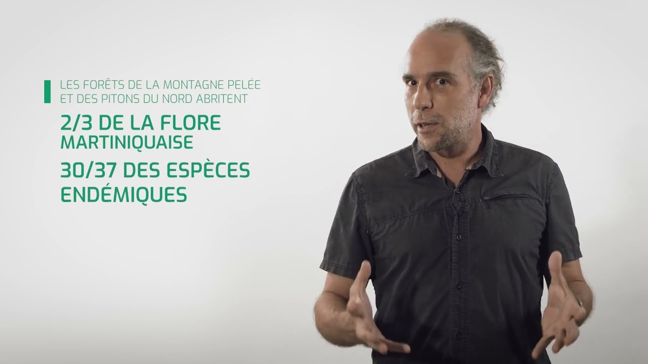 LES EXPERTS PARLENT de la Biodiversité Exceptionnelle de la Martinique