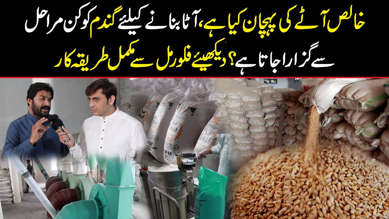 Processing Wheat Into Flour | Khalis Atay Ki Pahchan Kia Hai? | Public Digital Exclusive