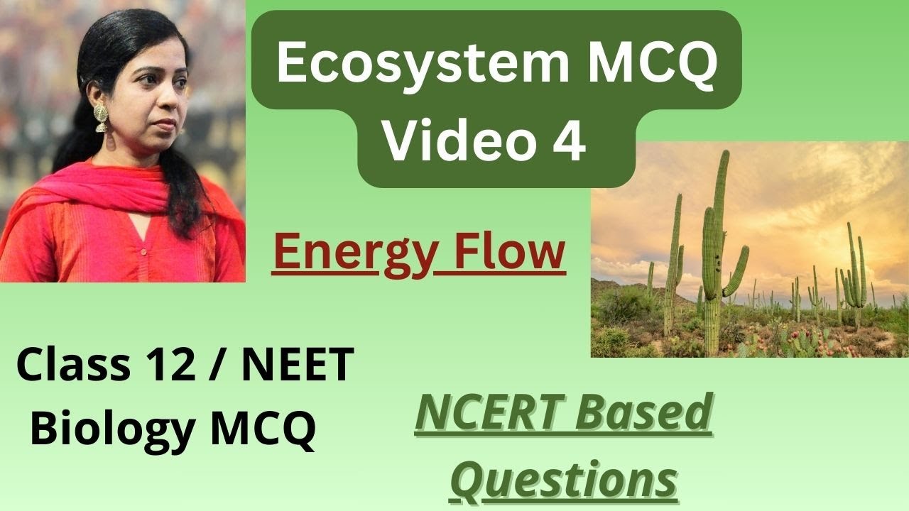 ECOSYSTEM MCQ / Part 4 / Energy Flow / NEET 2026
