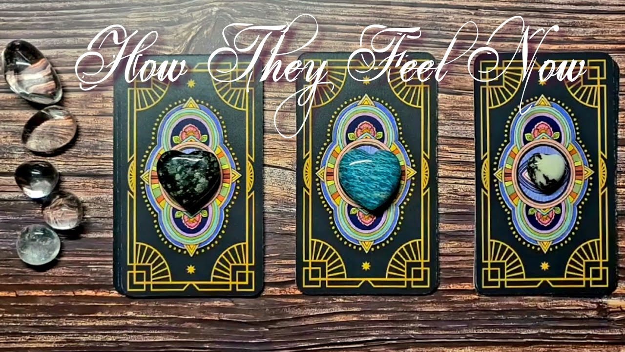 How They Feel Now 💖 Timeless Pick A Card Reading 
