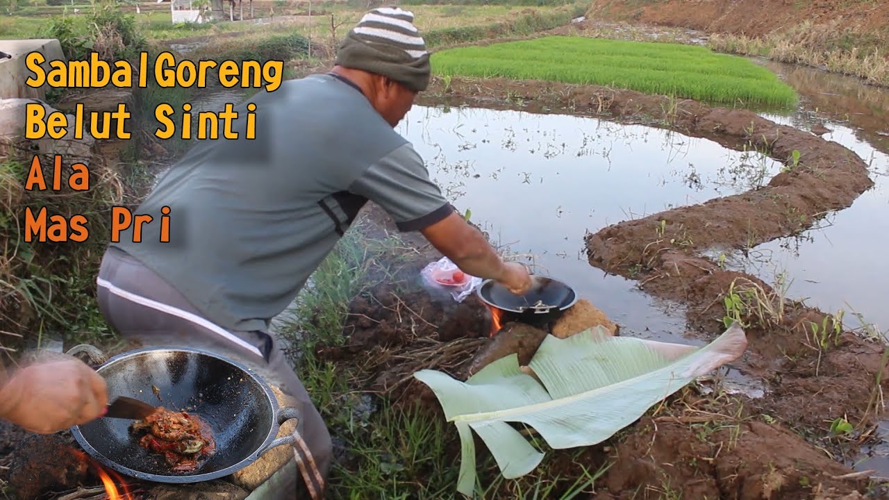 Kuliner Alam Makan Belut Goreng Di Sawah