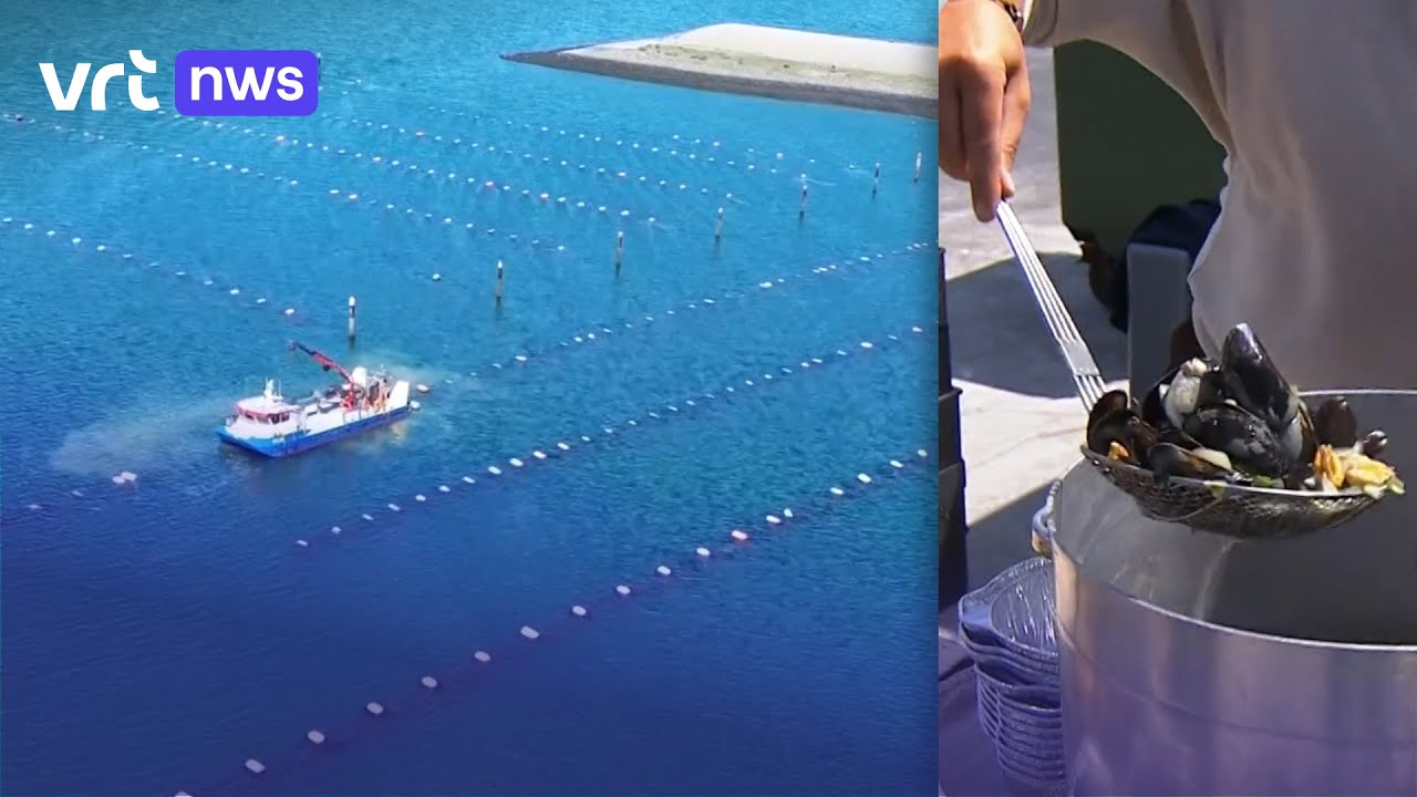 Nooit zo vroeg hangcultuurmosselen, met dank aan de zon