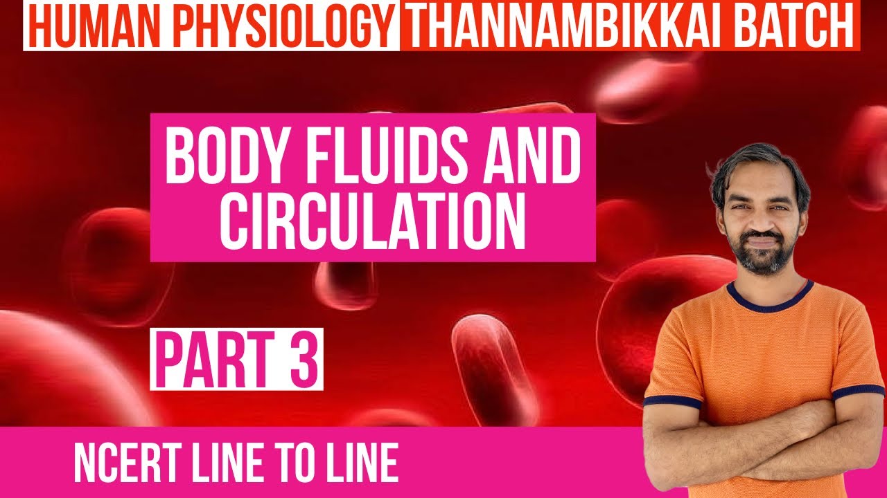 Body fluids and circulation | Part 3 | Thannambikkai Batch | NCERT Line to Line