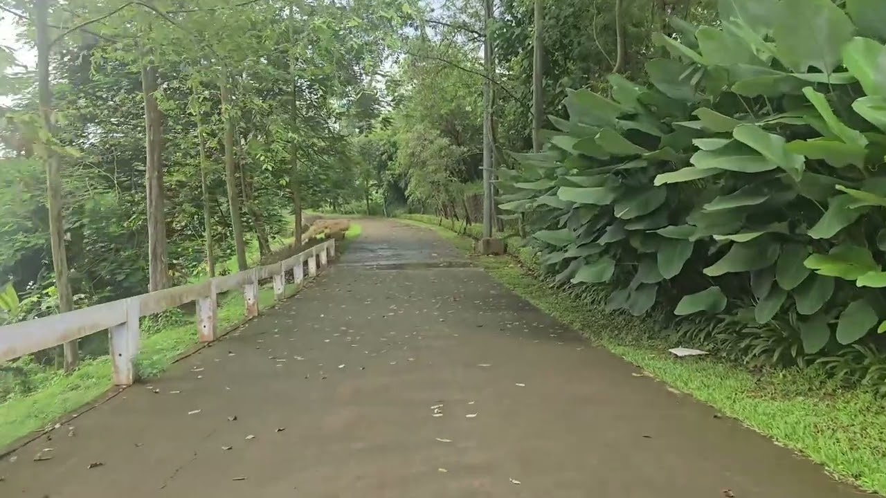 The Breeze Park