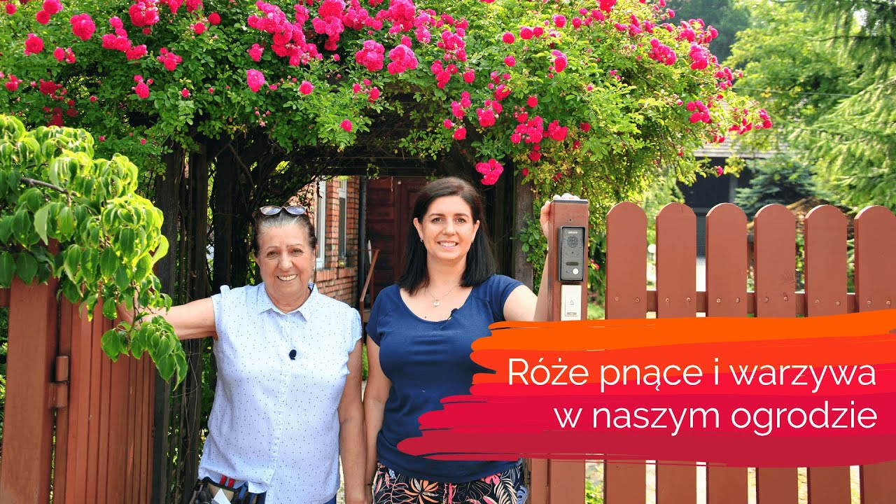 Róże pnące i warzywa w ogrodzie