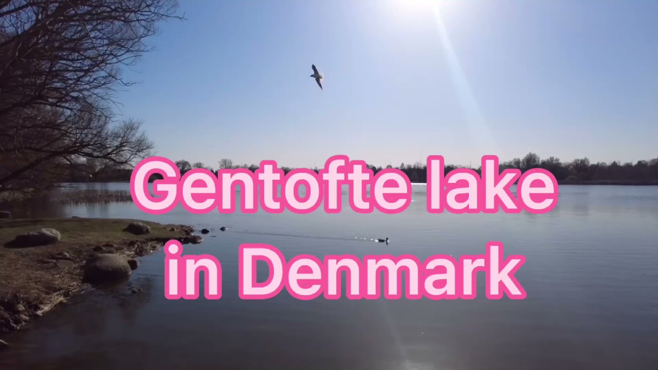 Denmark 🇩🇰 Gentofte Lake beautiful,  cozy place to relax and to enjoy