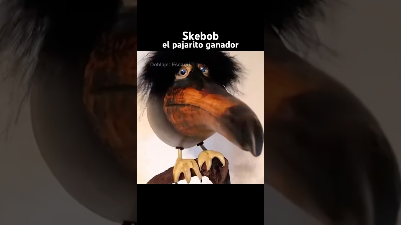 SKEBOB EL PAJARITO GANADOR