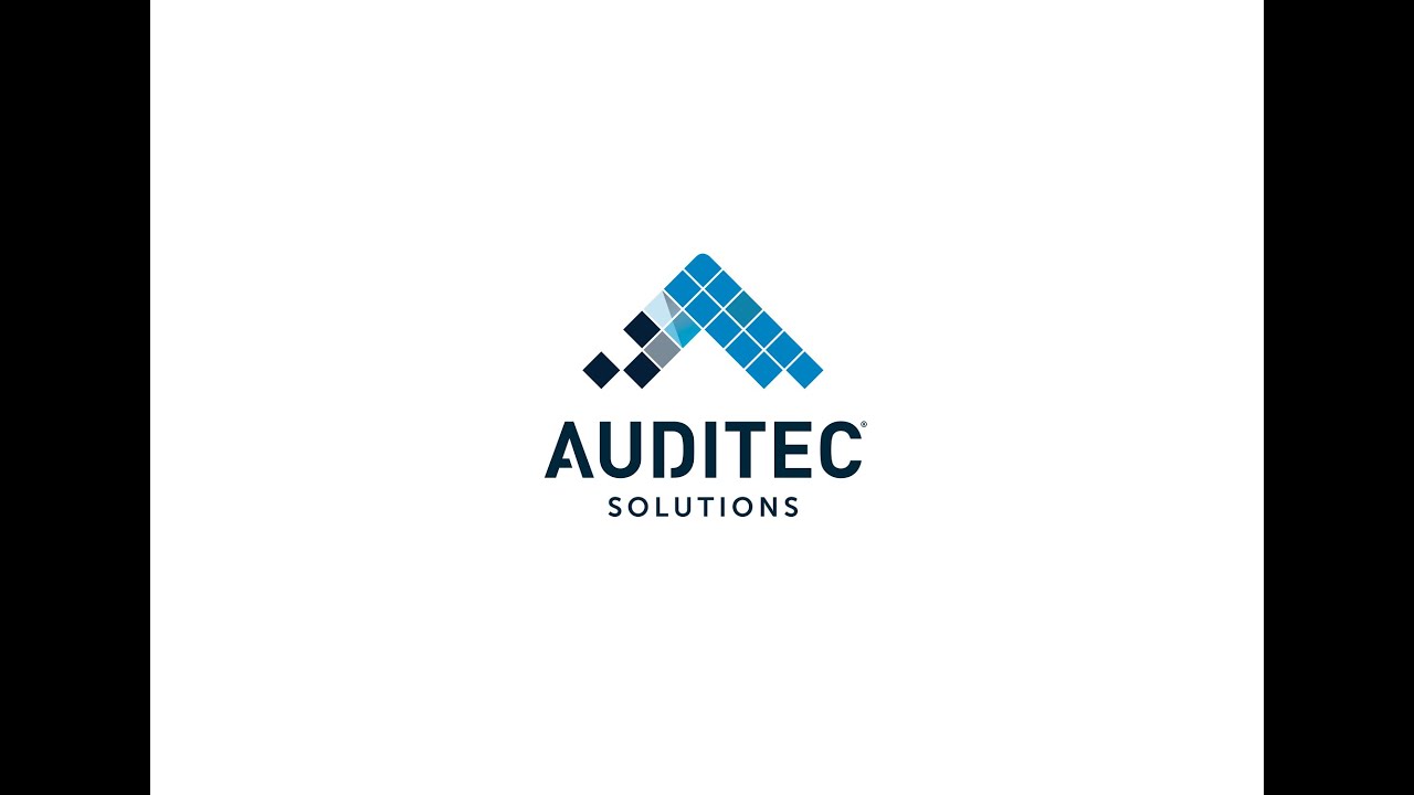 What is an audit clause and how are audit rights exercised?