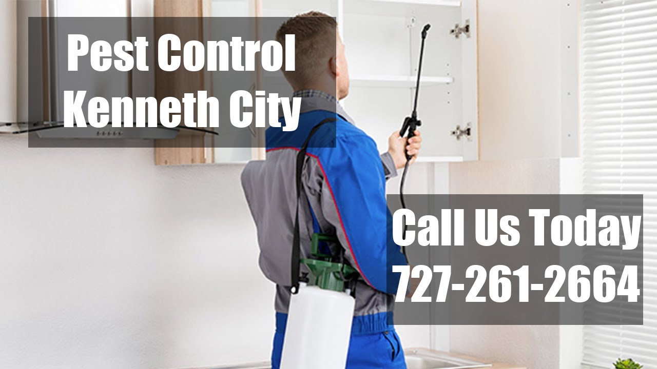 Pest Control Kenneth City Fl  Emergency Exterminator Residential Termite Control & Bed Bug Treatment
