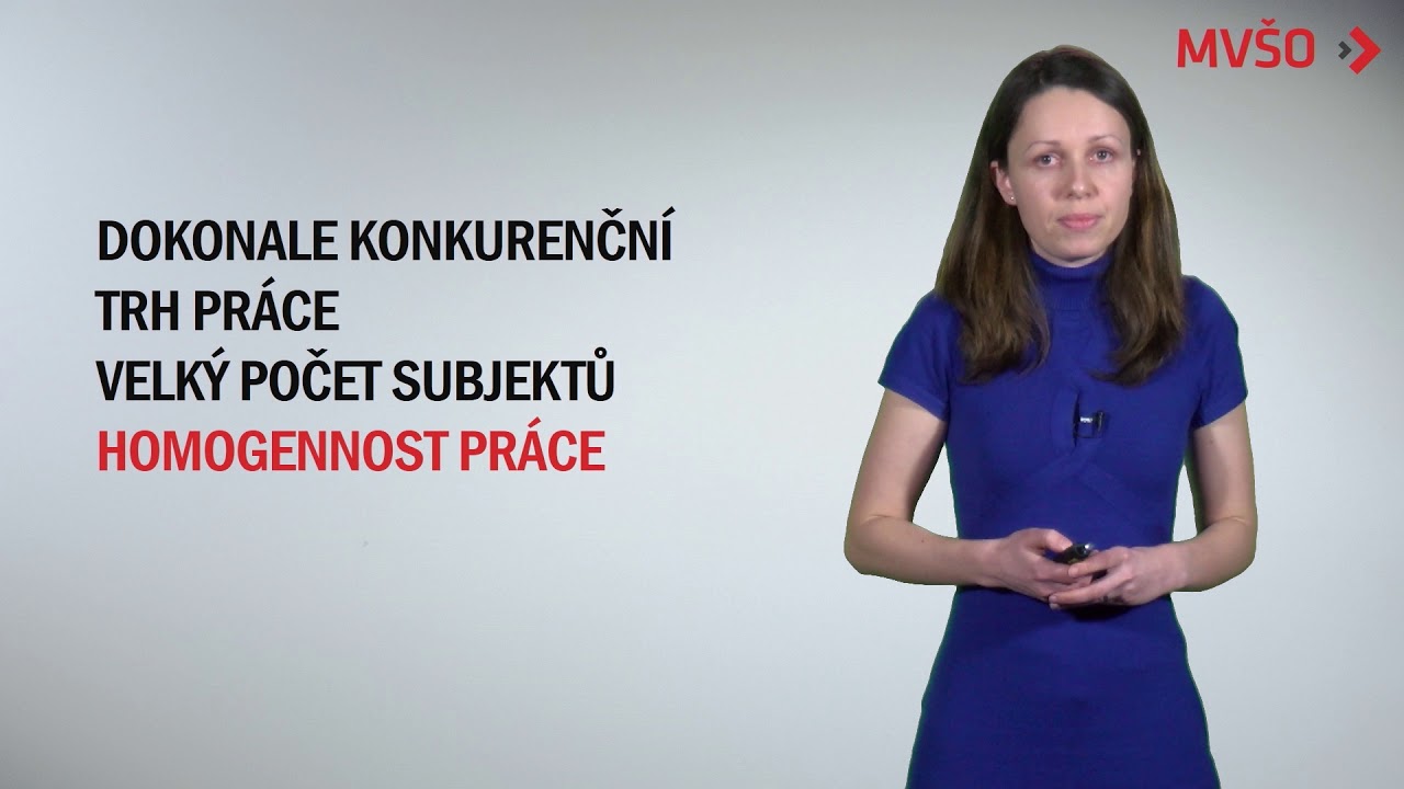 Dokonale a nedokonale konkurenční trh práce | EDULAM