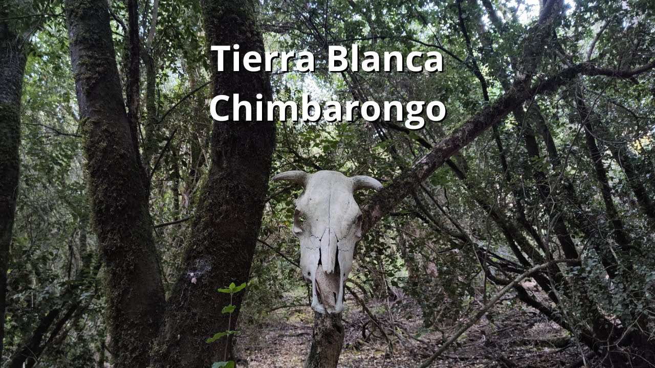 Tierra Blanca, Chimbarongo