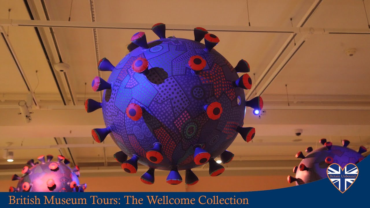 The Wellcome Collection