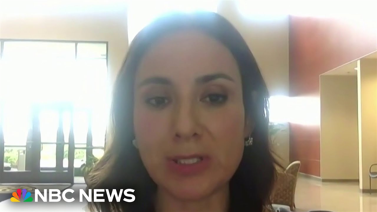 ‘End game is to kill the maps’: Texas state Democrat on redistricting fight