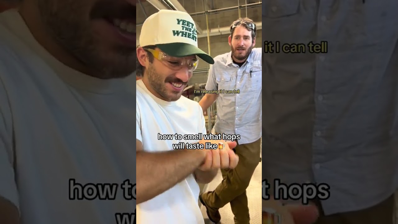 How to smell what beer hops will taste like