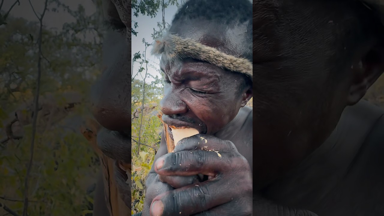 This hunter has a good appetite and teeth#teeth#enjoy#food#enjoy#dinner