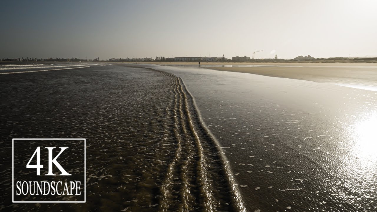 Sunrise Beach Walk in North Africa | Essaouira Beach, Morocco | 4K SOUNDSCAPE