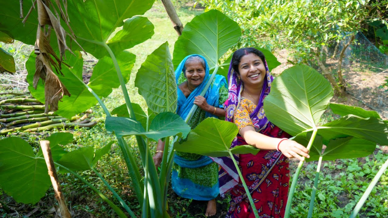 ছোট মাছ দিয়ে দুধমান কচুর ডেগো রান্না |