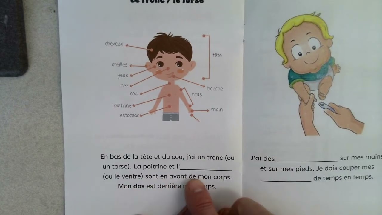 Les parties du corps