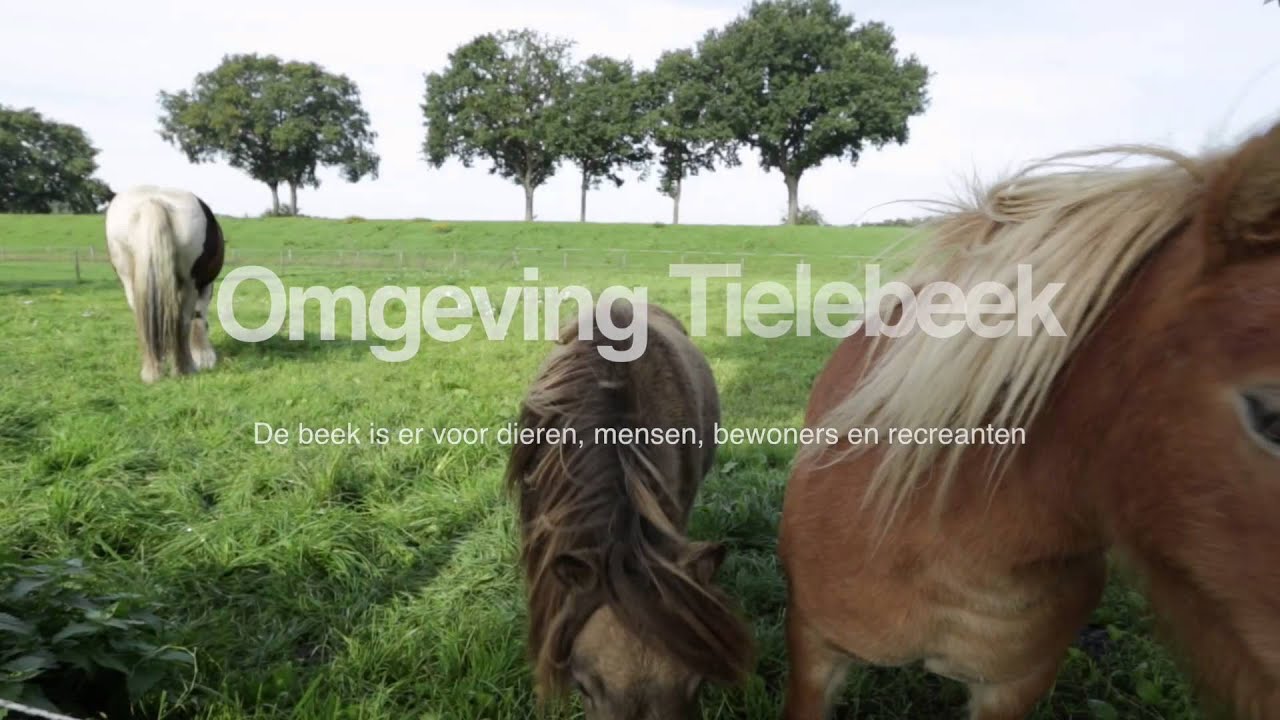 Tielebeek - 2,5 kilometer natuur herstelt