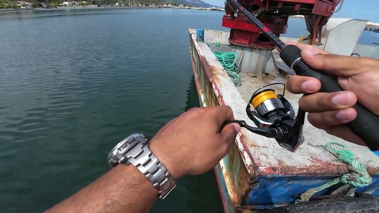 Shimano Bassterra 1-11 ile Güneş Altında LRF #fishing #lrf #balıkçılık