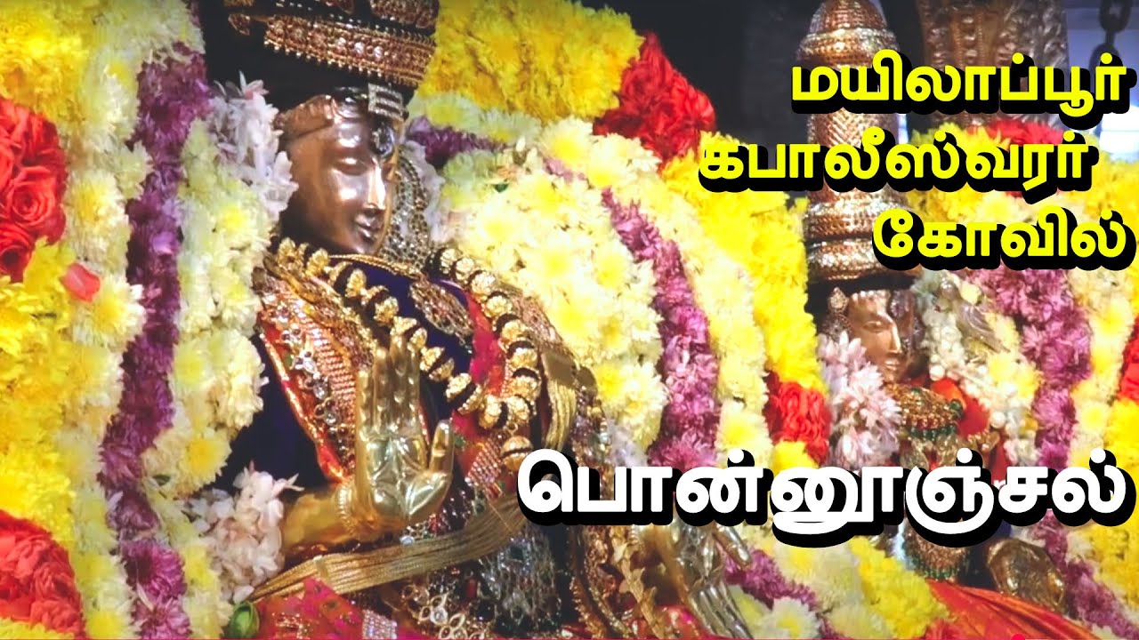 Kapaleeswarar Temple Ponnoonjal Vizha |கபாலீஸ்வரர் கோவில் பொன்னூஞ்சல் விழா| Mylapore
