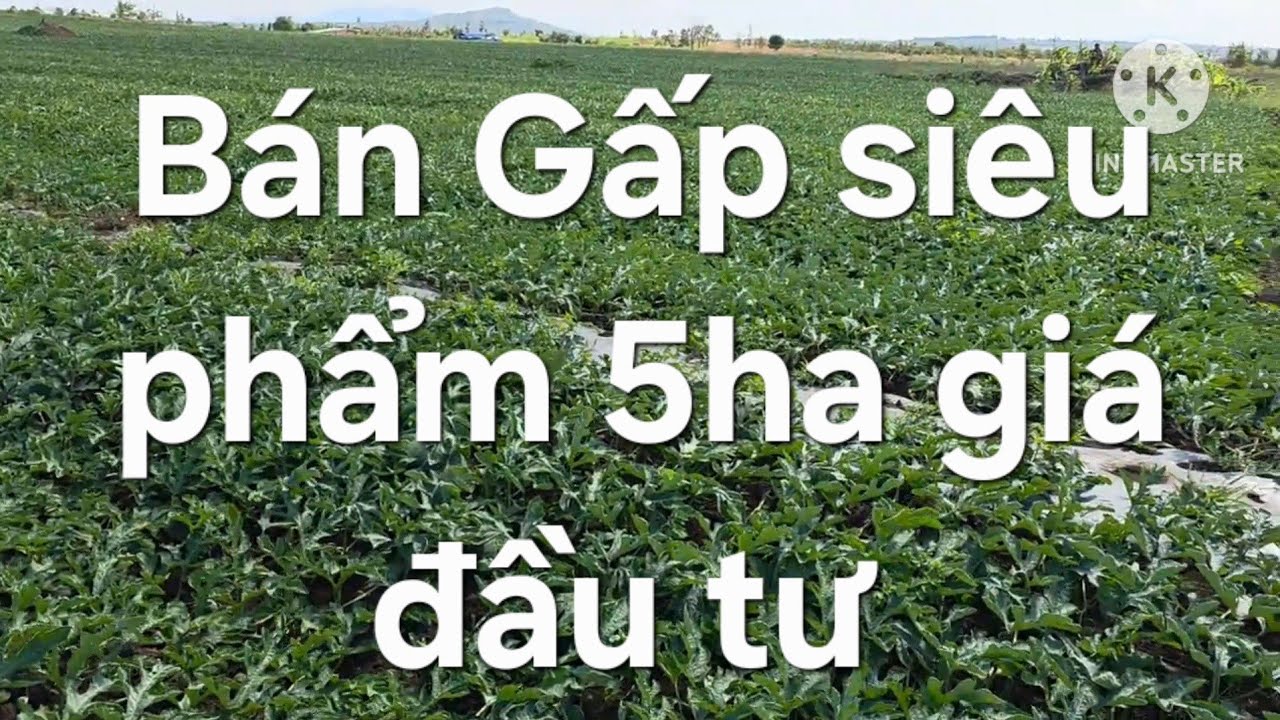 Siêu phẩm 5ha ace quan tâm lh 08 22 72 76 79 