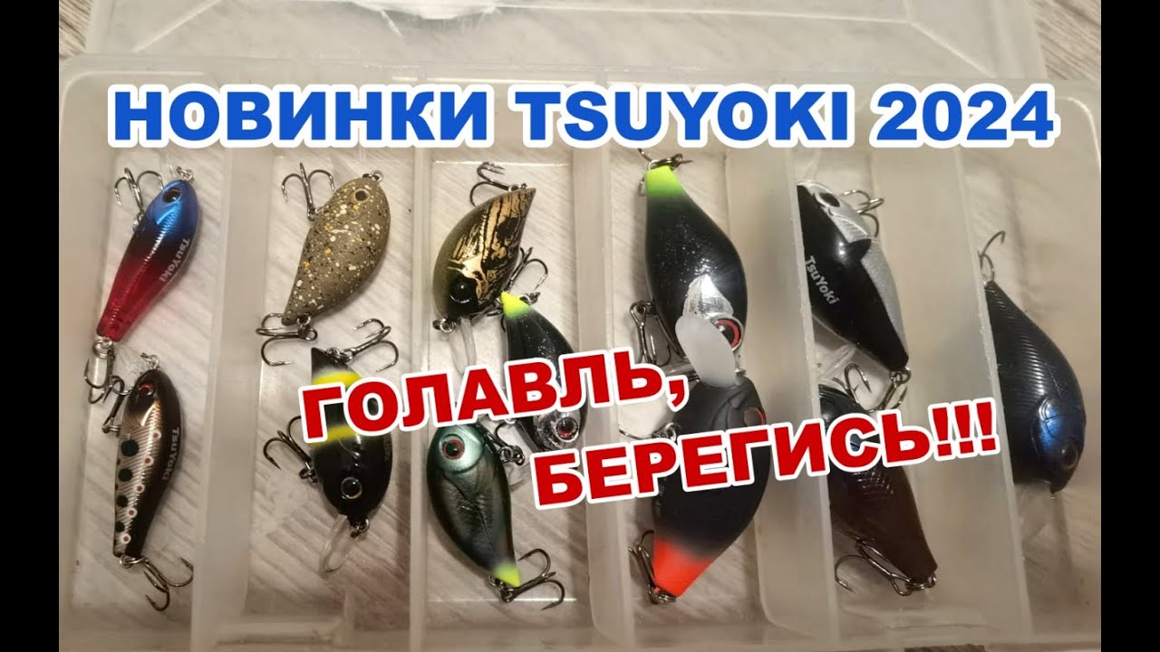 НОВИНКИ TSUYOKI 2024. БЮДЖЕТНЫЕ КРЕНКИ НА ГОЛАВЛЯ