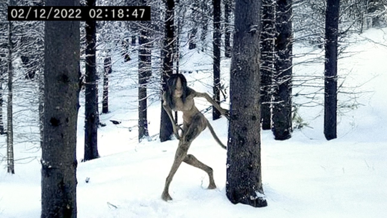 30 Most Convincing Skinwalker Encounters Caught on Camera