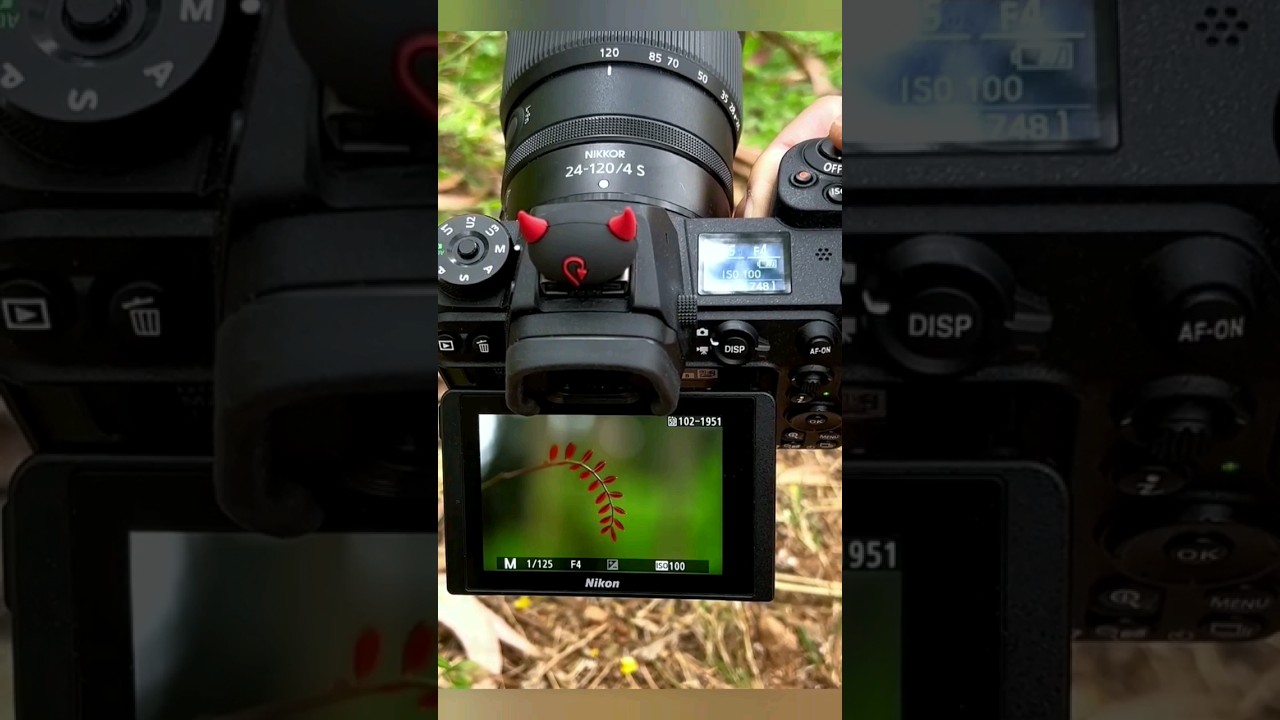 Nikon Z 6 & Nikon NIKKOR Z 24-120mm f/4 S Lens photography 8k