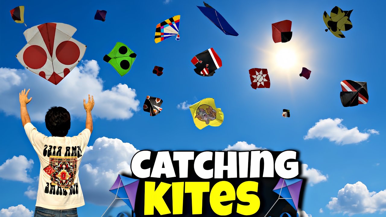 Looting And Snatching Others Kites😀 Zomato Scene😆|| End Level Mahol Today🥵!