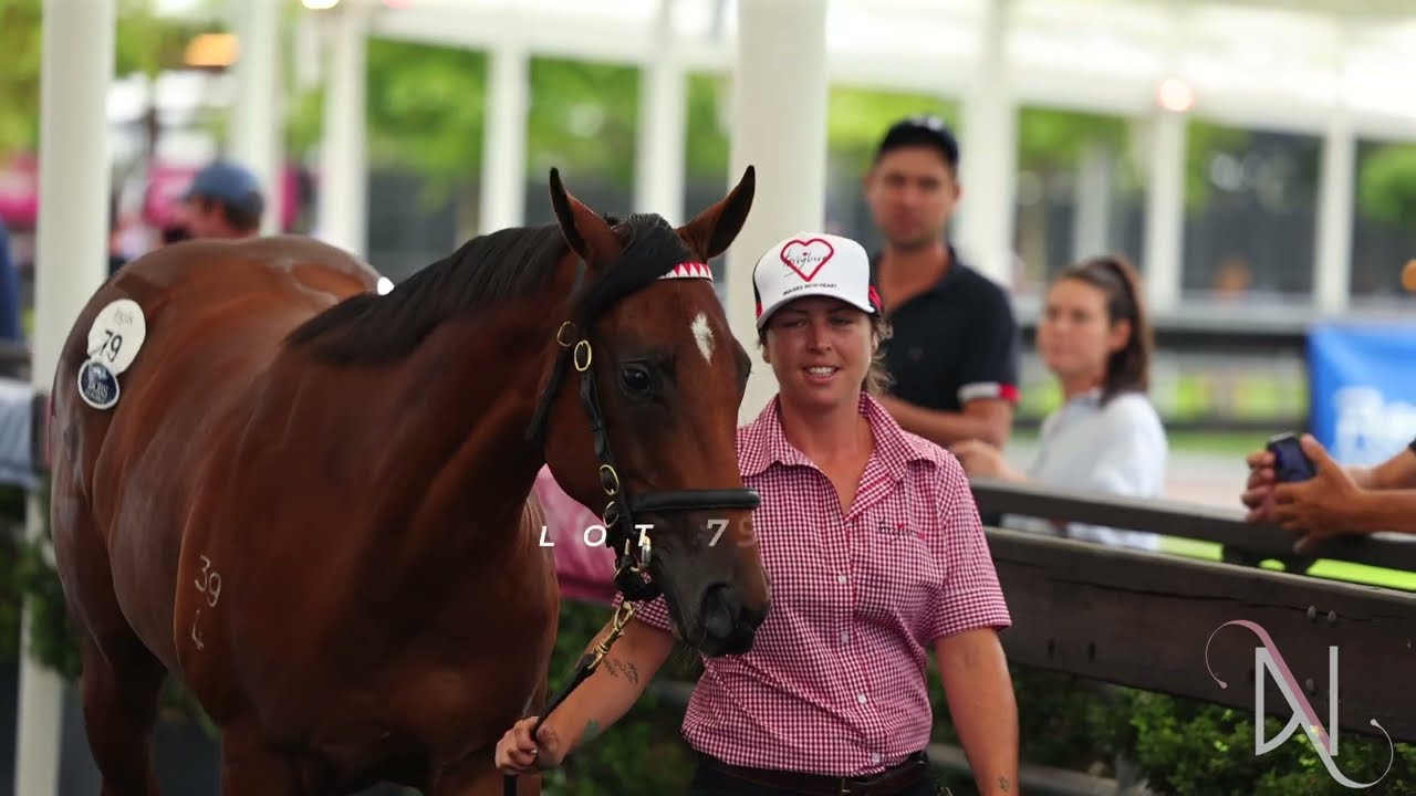 Lot 79 Pierro x Imperial Lass  1