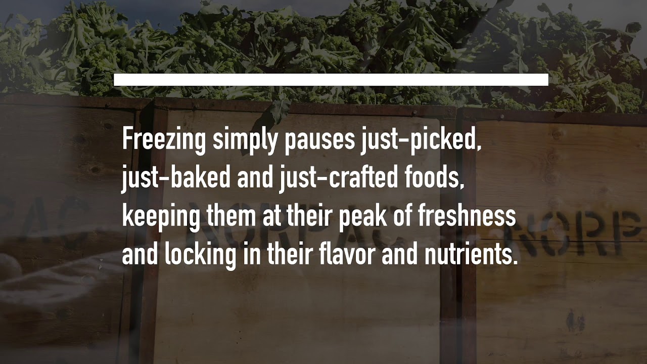 Freezing is Nature's Pause Button