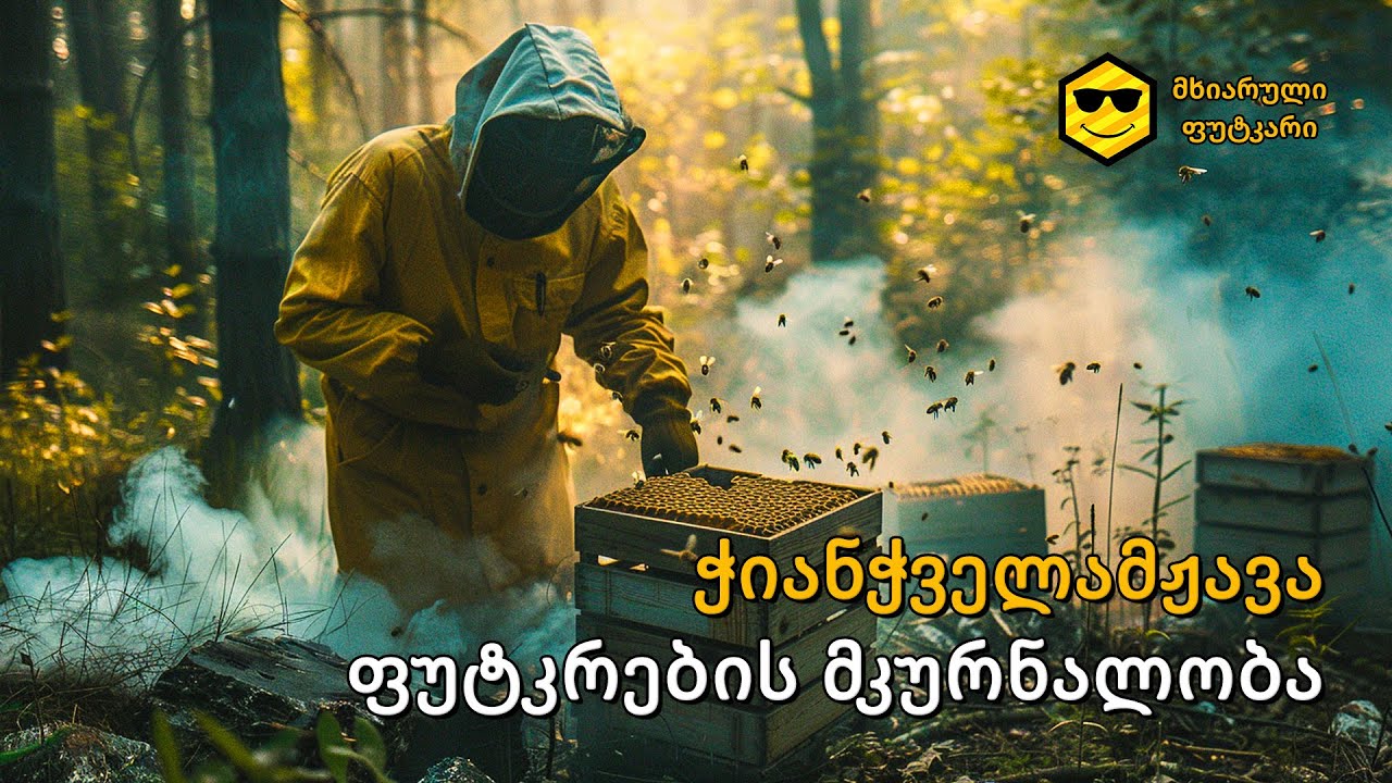 ფუტკრების მკურნალობა – ჭიანჭველამჟავა