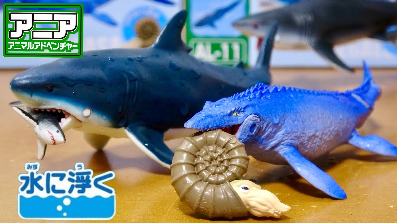 アニア「モササウルス＆メガロドン」徹底レビュー！水に浮くギミックと迫力の造形美をコレクター視点で分析