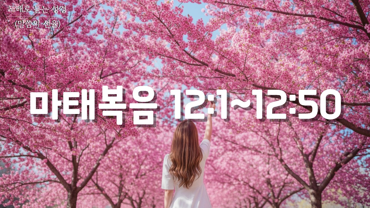 [마태복음 CCM] 마태복음 12장 | K-POP | 노래로 듣는 성경(말씀의 선율)