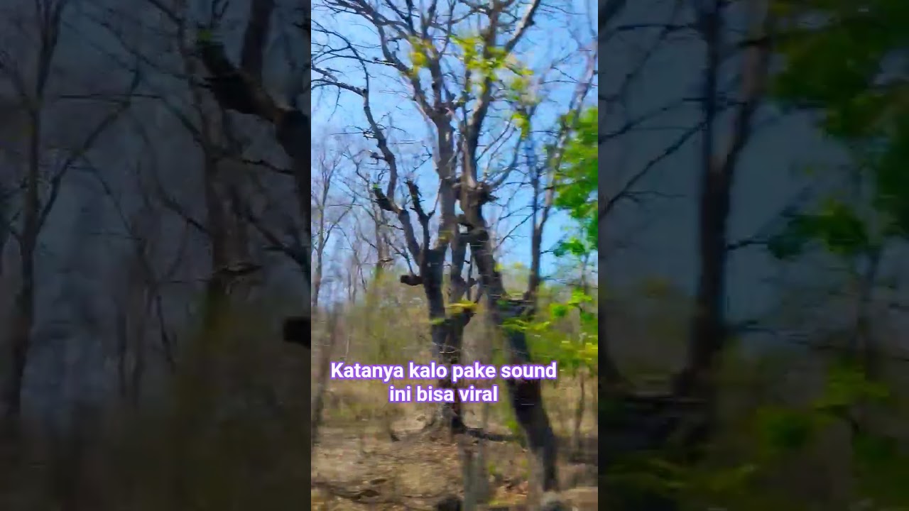 SOUND VIRAL #shortvideo #shorts #artisbugis #soundviral #jalanjalan