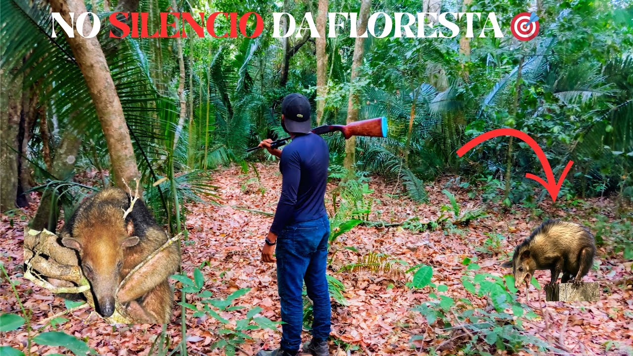 NÃO COMETA ESSE ERRO 🚫| CAÇADA DE VEADO | AMAZÔNIA SELVAGEM 🦌💥