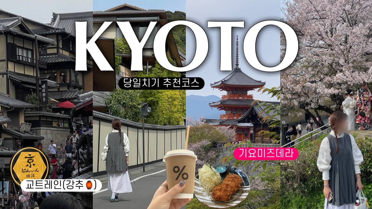 교토 당일치기🇯🇵 특급이색열차 교트레인(강추)🚇•기요미즈데라•청수사•니넨자카 산넨자카까지 제일 예쁘고 효율적인 코스로 모십니다 🚎