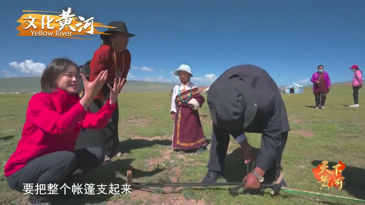 第36集：到黄河源头看与众不同的野血牦牛，在藏民看似普通内含巧思的黑帐篷中了解高原游牧文化——黄河源之新印象 【天下黄河】| 文化黄河 Yellow River